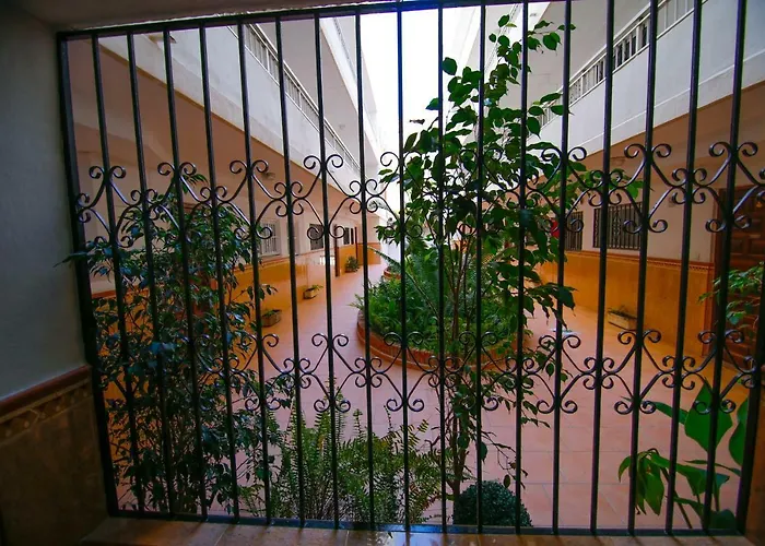 Vella Rosa 2